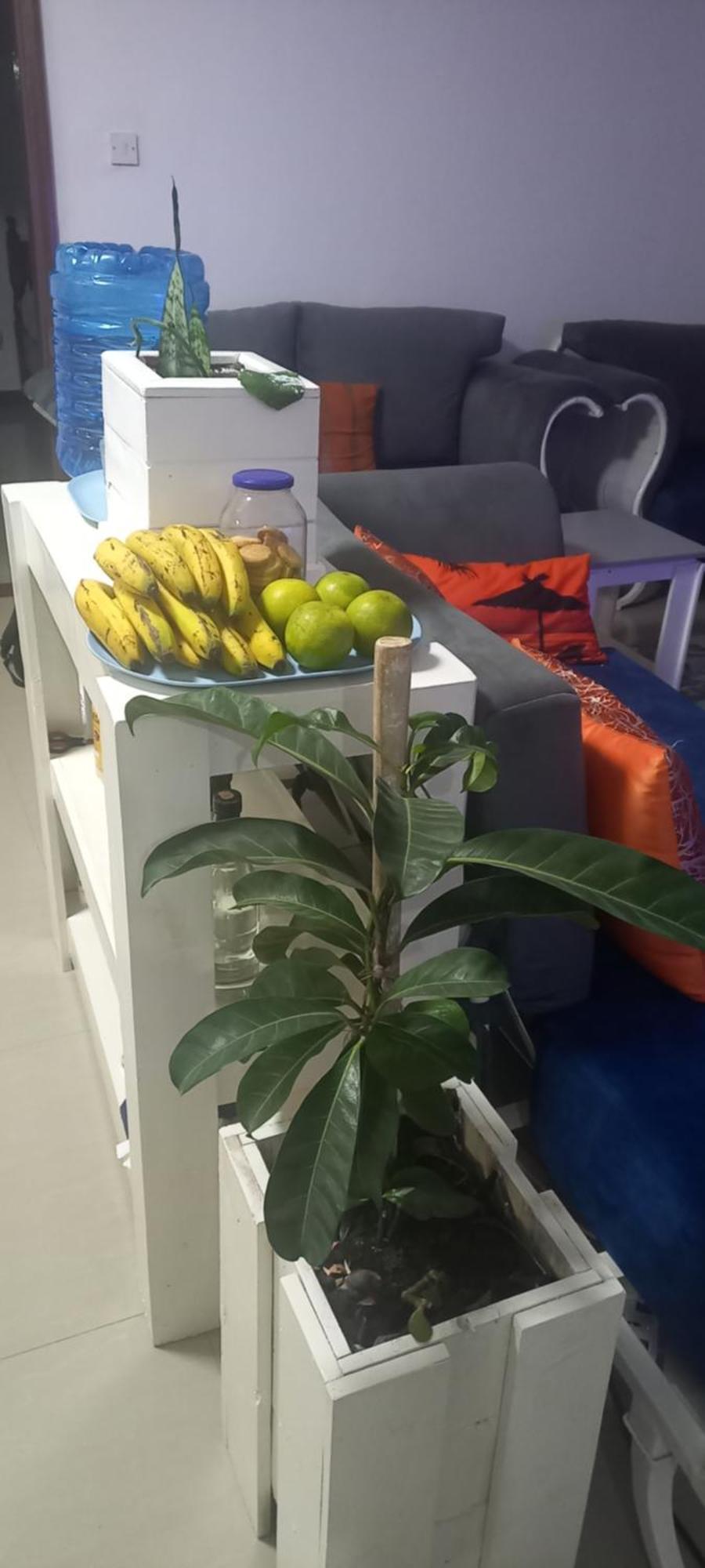 ניירובי Tcr Residences At Kings Millennium- 3Bdrm Apts, All Ensuite, 7Km To Jki Airport, 7Km To Cbd מראה חיצוני תמונה
